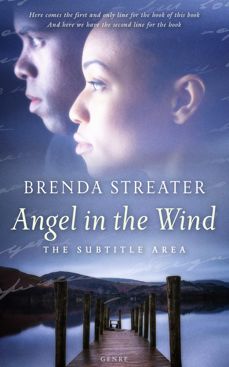 2D view of Premade Romance Book Cover - Waikawa Gray