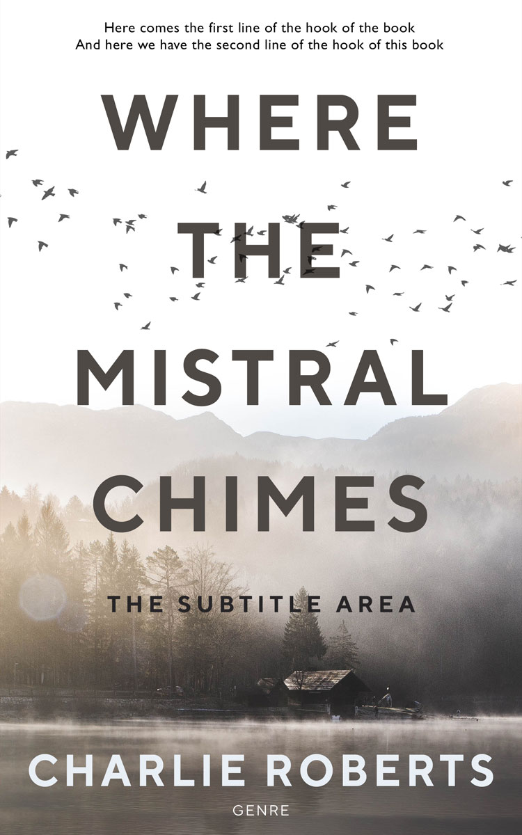 2D view of Silver Rust #4338 - Premade Literary Fiction Book Cover