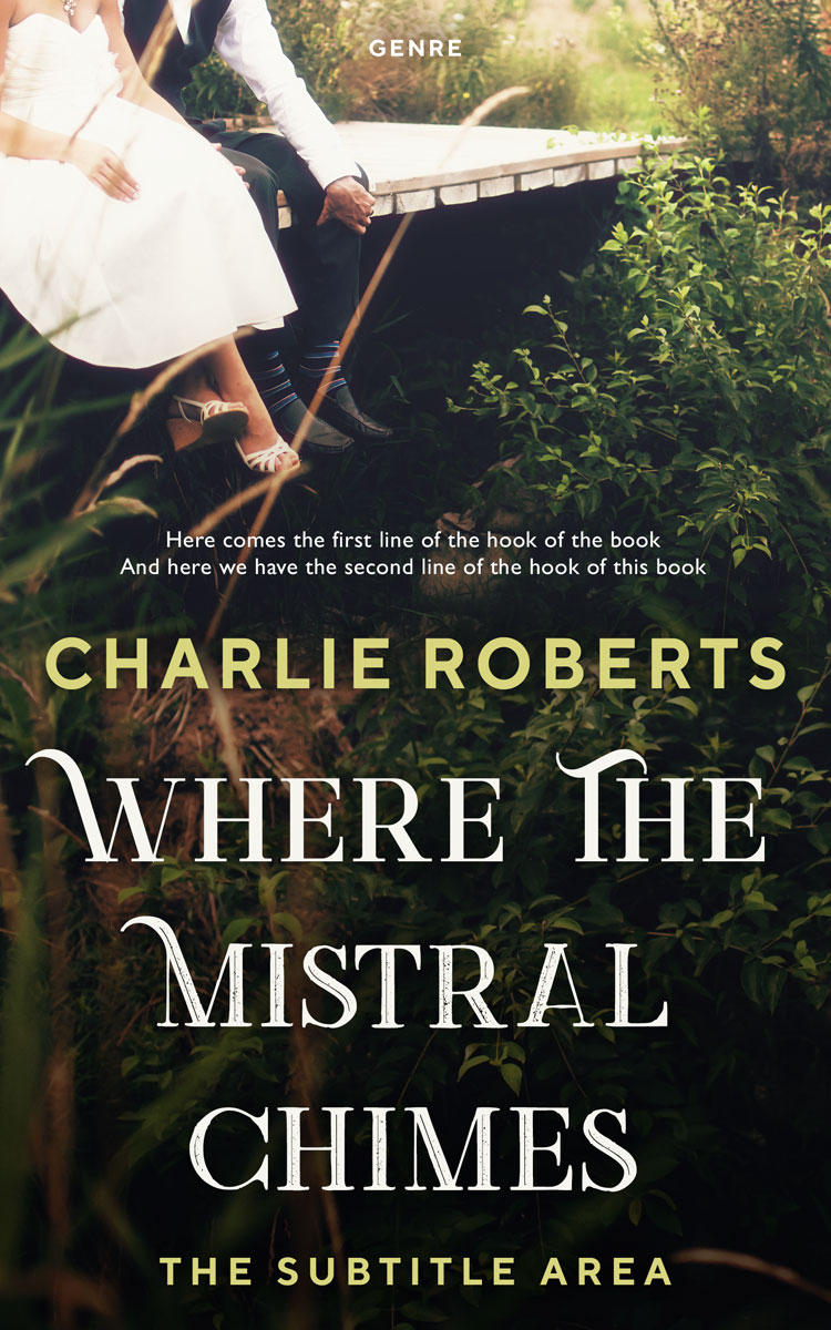 2D view of Bone #4349 - Premade Romance Book Cover