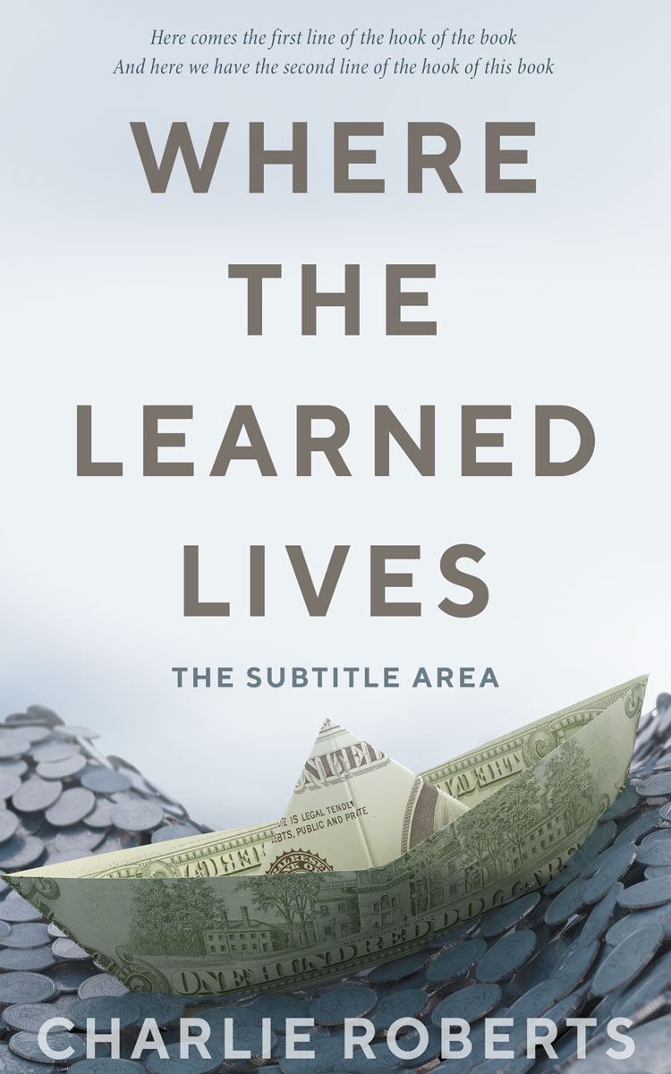 2D view of Mystic #4363 - Premade Business Book Cover