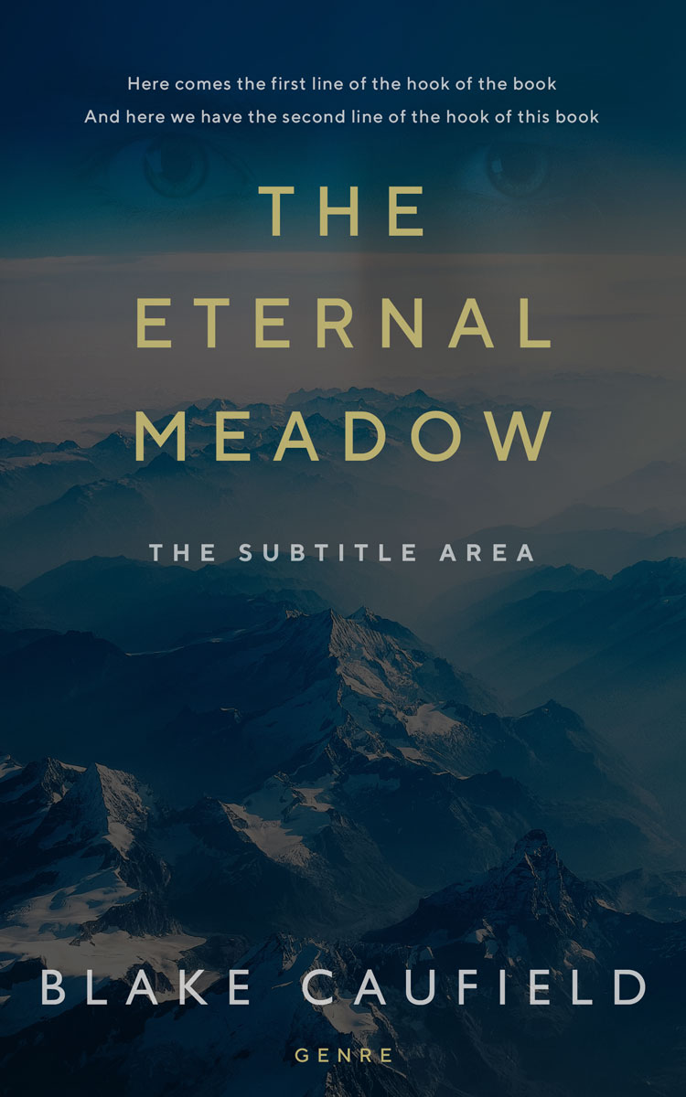 2D view of Premade Mystery & Thriller & Suspense Book Cover - Big Stone