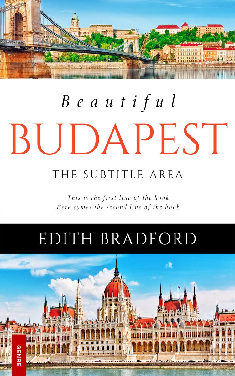 2D view of Swirl #5311 - Premade Travel Book Cover