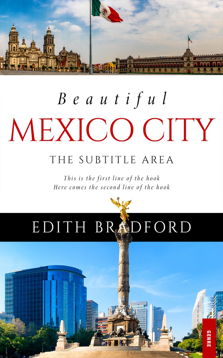 2D view of Clam Shell #5365 - Premade Travel Book Cover