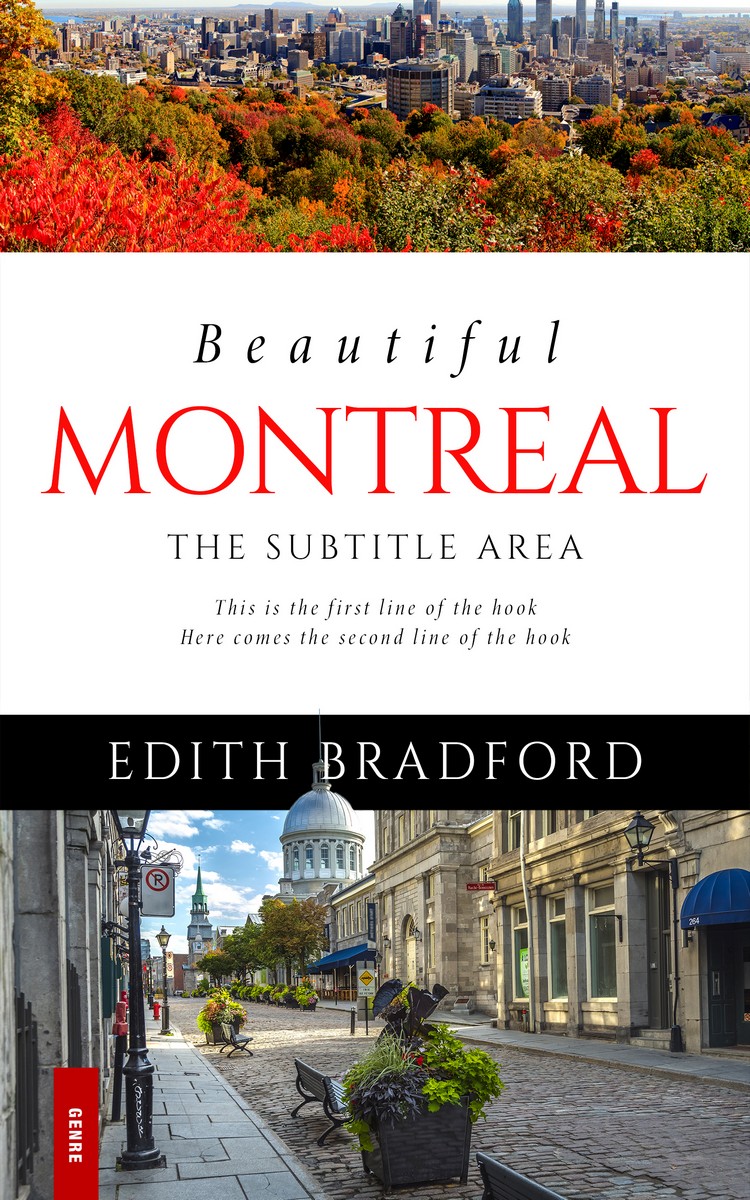 2D view of Armadillo #5374 - Premade Travel Book Cover | BookCoverZone