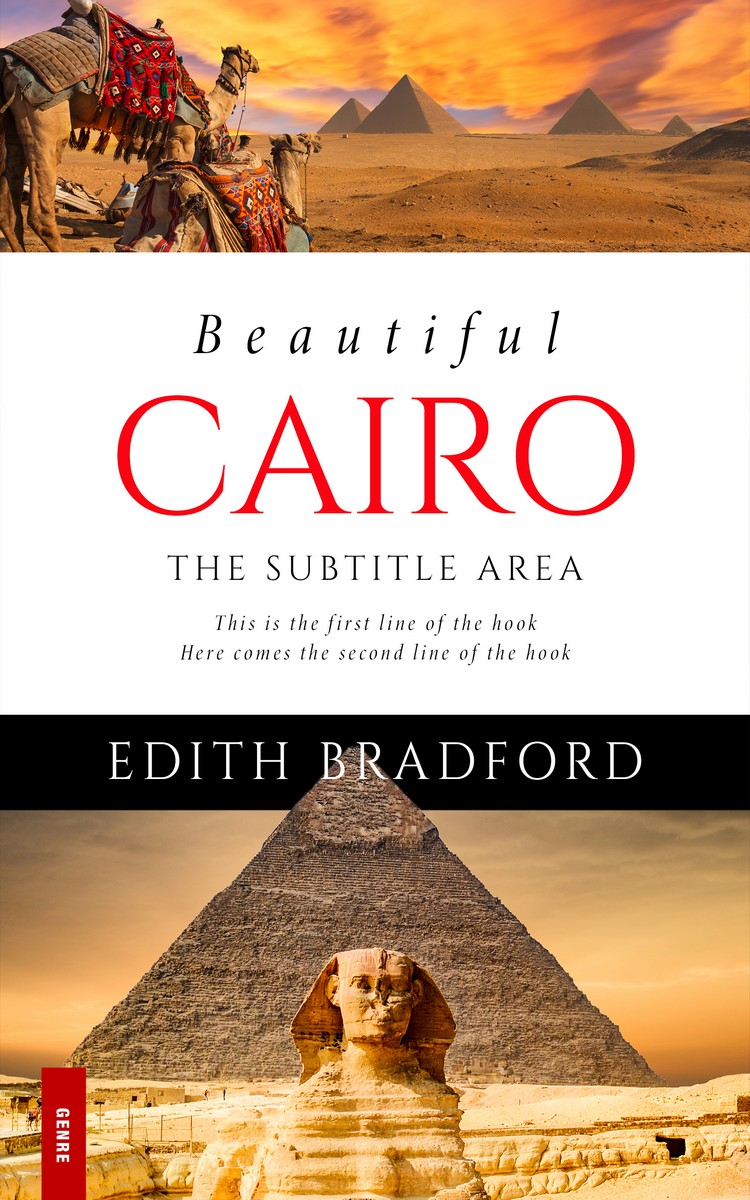 2D view of Premade Travel Book Cover - Tussock