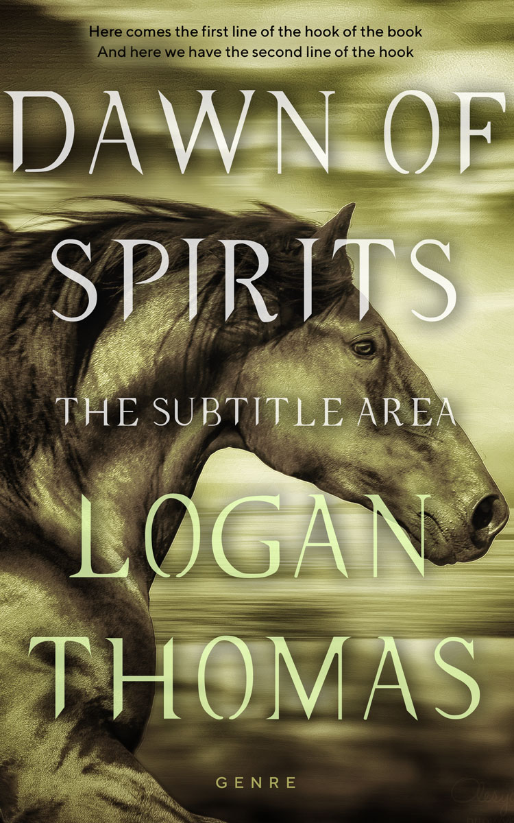 2D view of Judge Gray #6195 - Premade Action & Adventure Book Cover