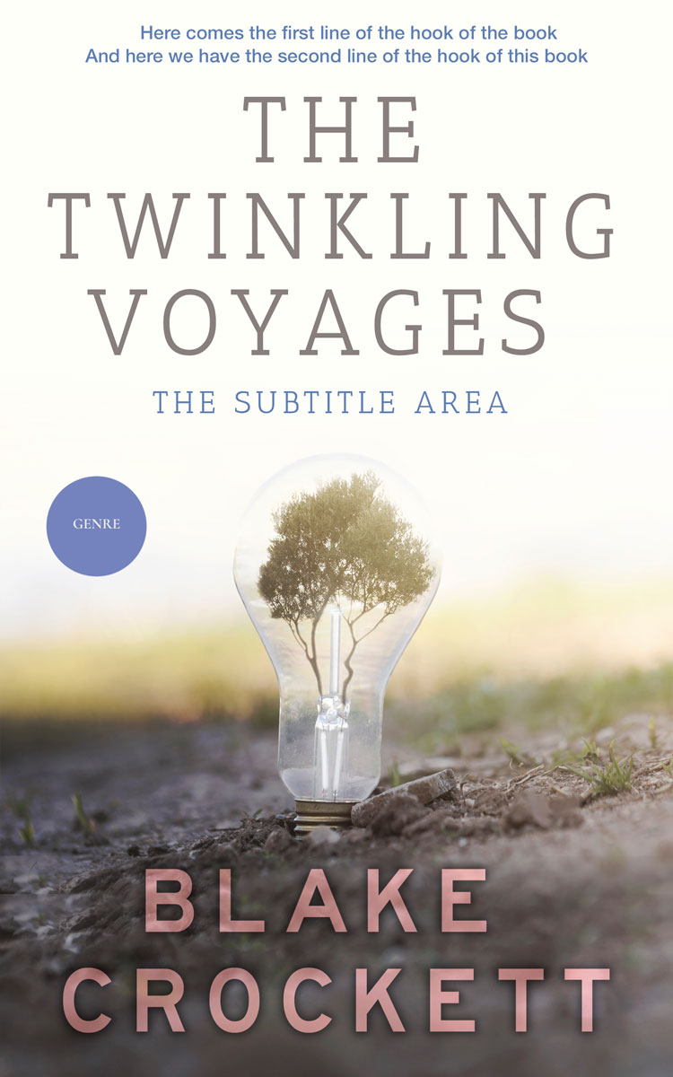 2D view of Pampas #6332 - Premade Abstract Book Cover