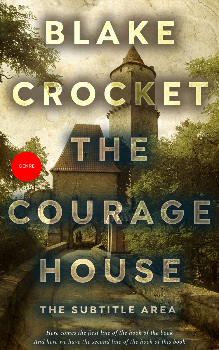 2D view of Birch #6370 - Premade Historical Book Cover | BookCoverZone