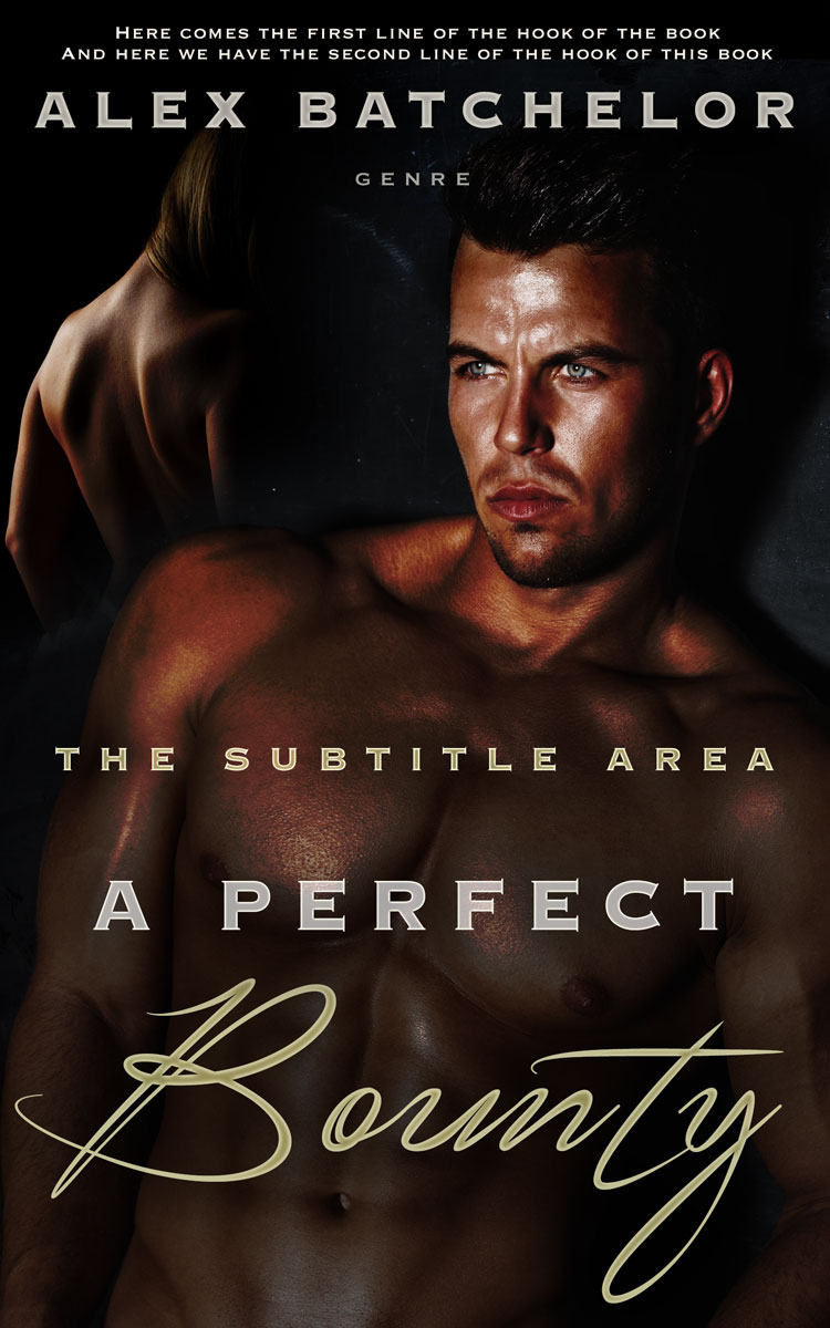 2D view of Night Rider #6522 - Premade Erotica Book Cover