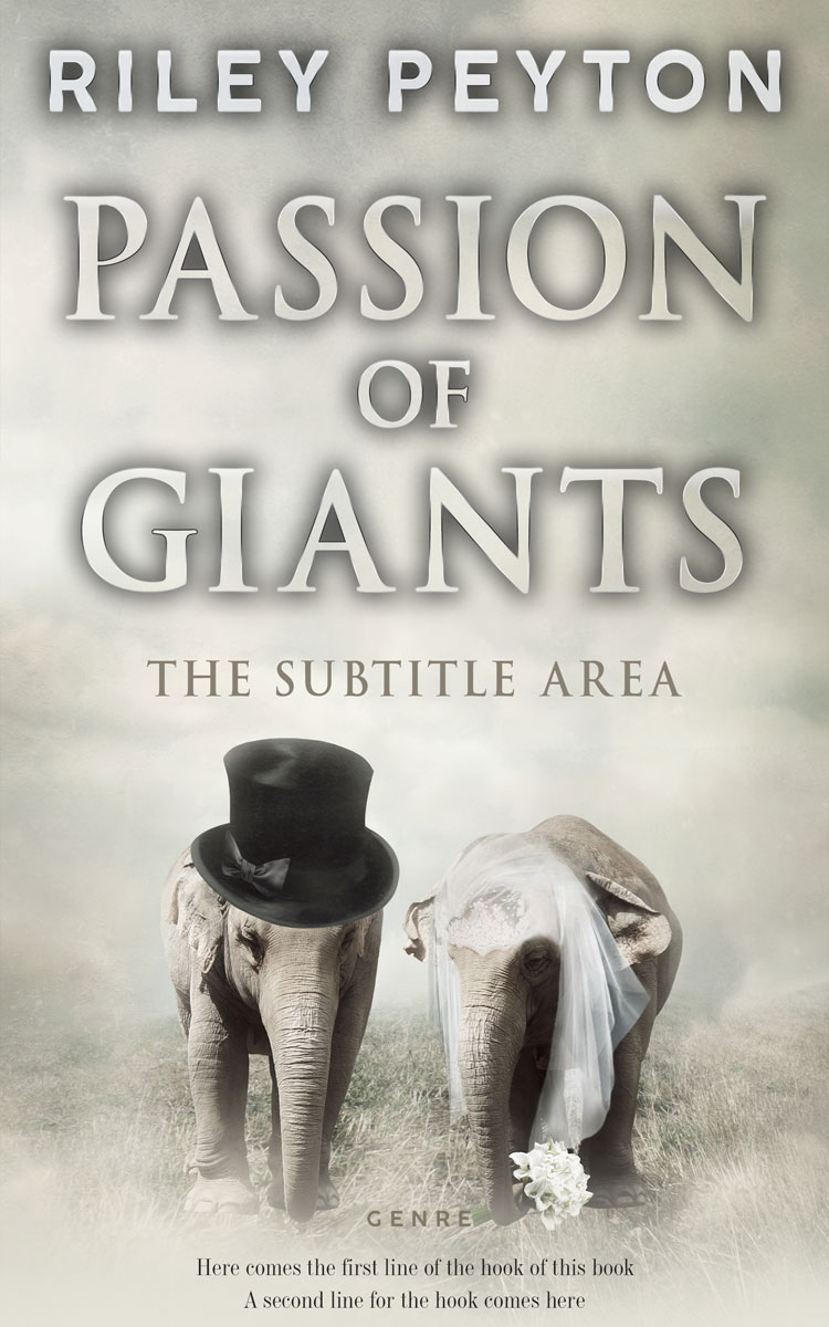 2D view of Premade Romance Book Cover - Ash