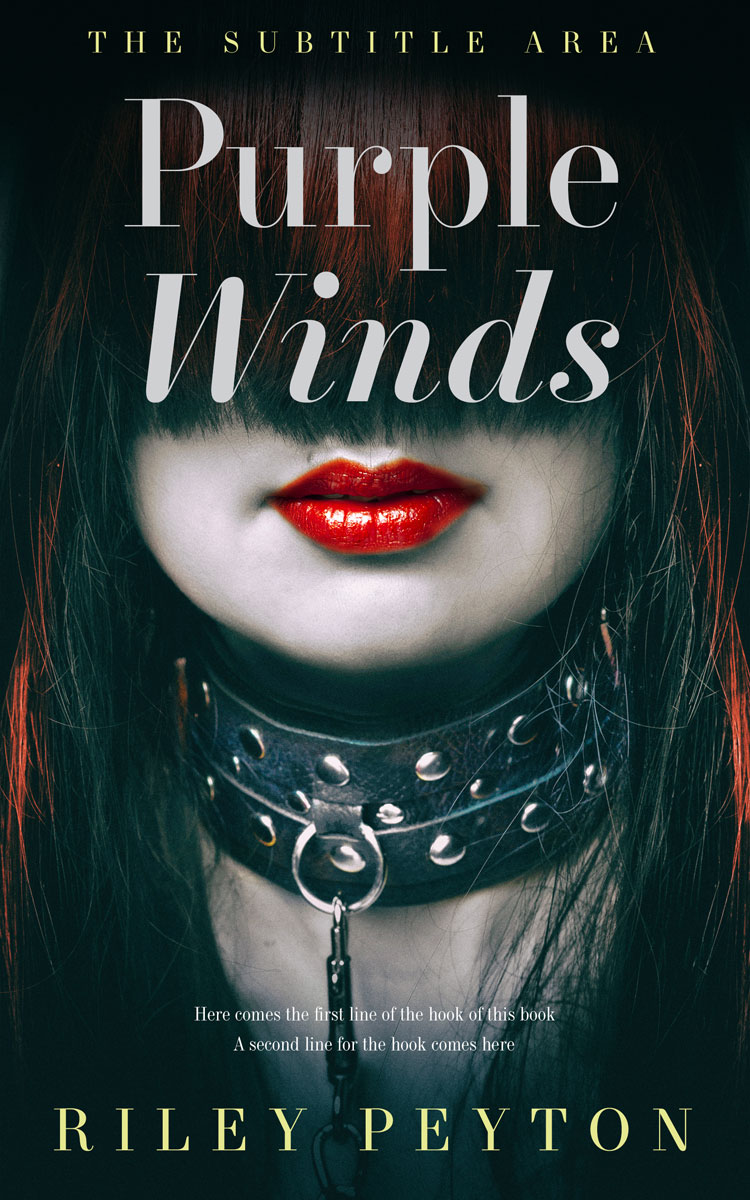 2D view of Premade Erotica Book Cover - Aztec