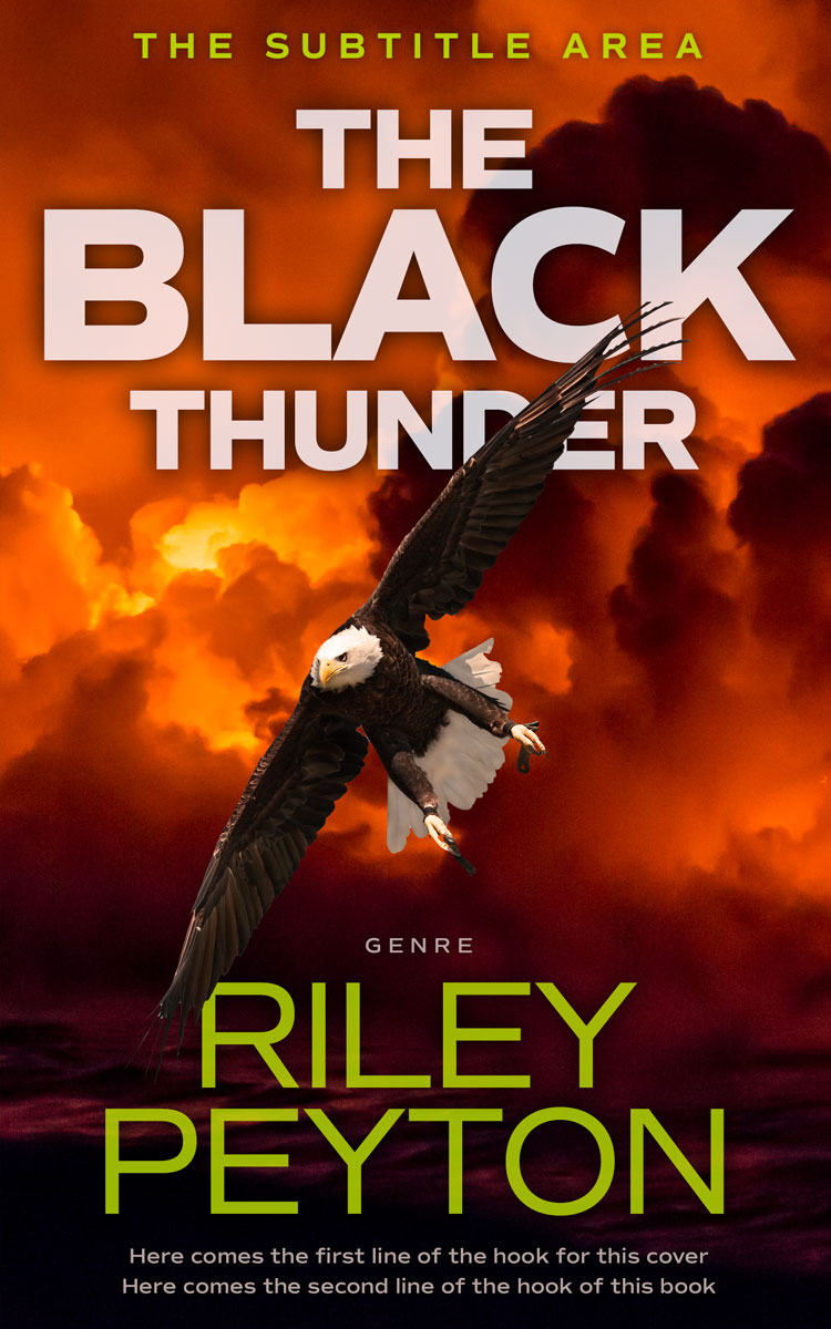 2D view of Aubergine #7495 - Premade Mystery & Thriller & Suspense Book Cover