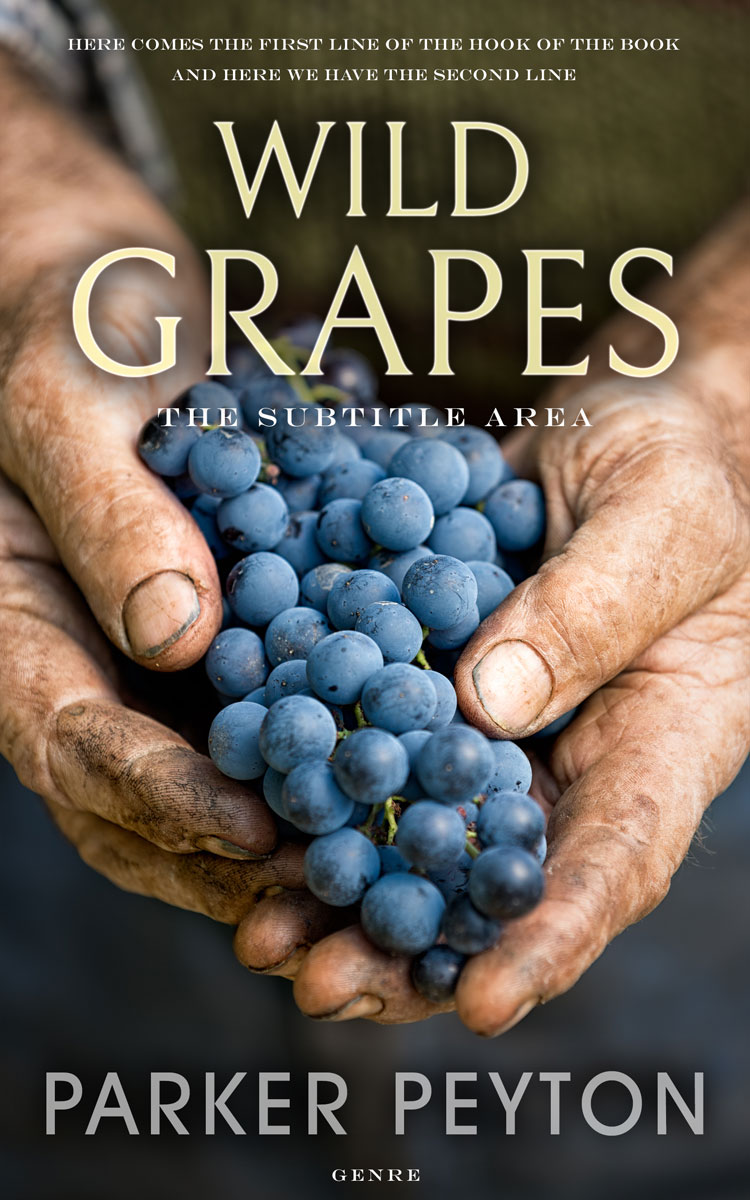 2D view of Tan #7666 - Premade Literary Fiction Book Cover