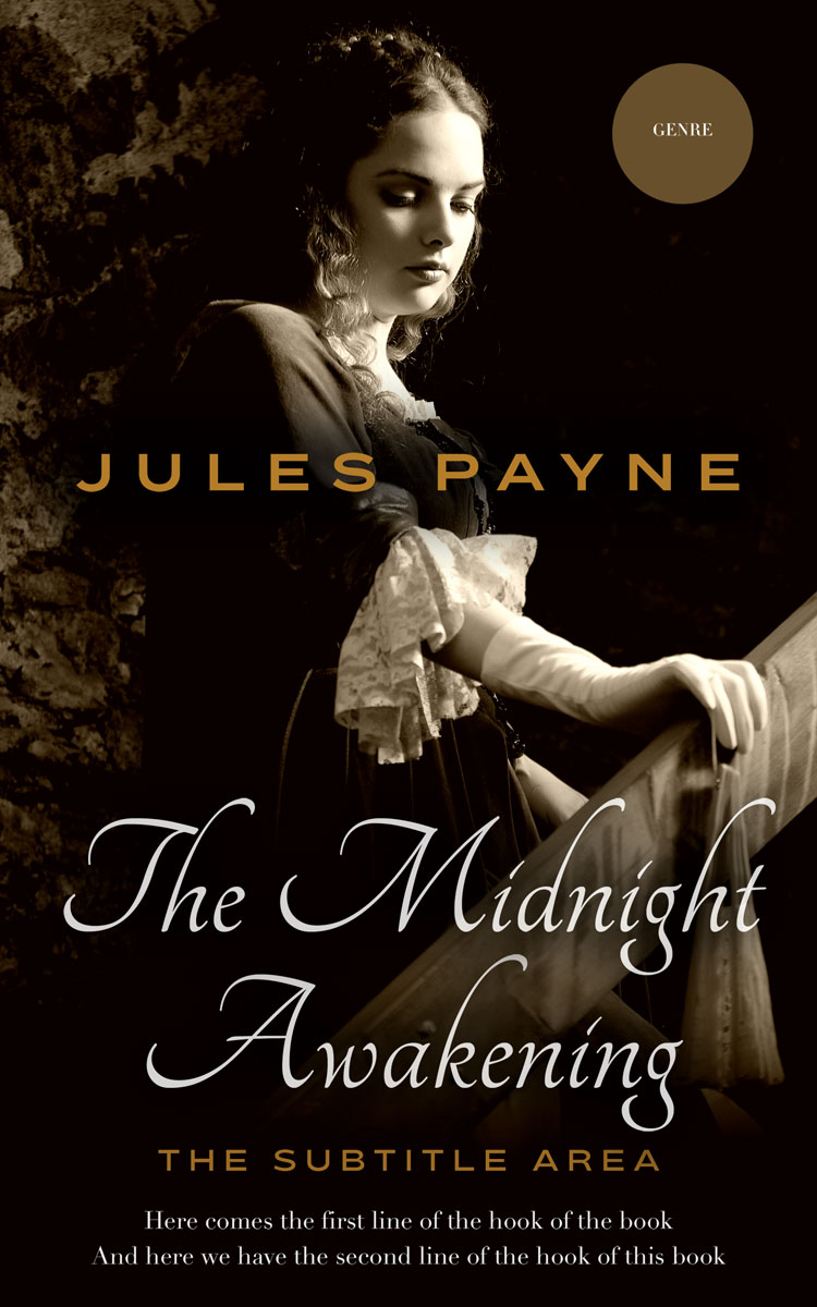 2D view of Premade Historical Book Cover - Asphalt