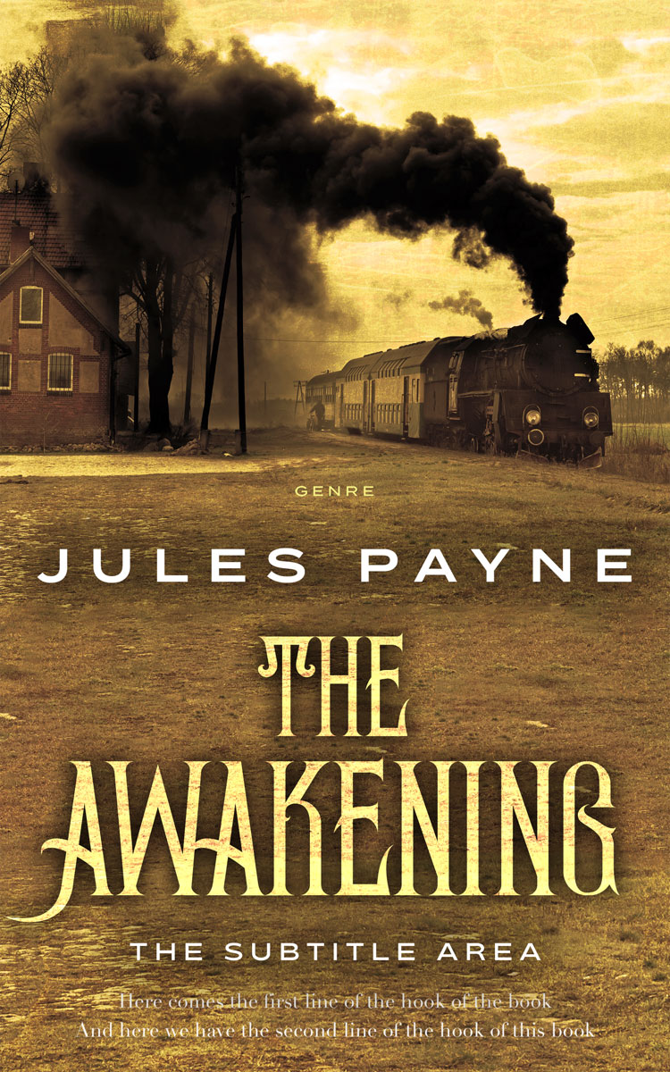 2D view of Premade Historical Book Cover - Old Copper