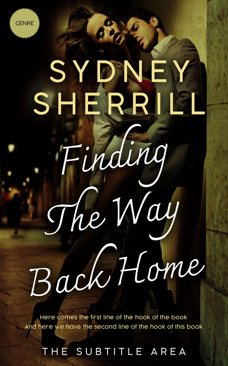 2D view of Eternity #7977 - Premade Erotica Book Cover