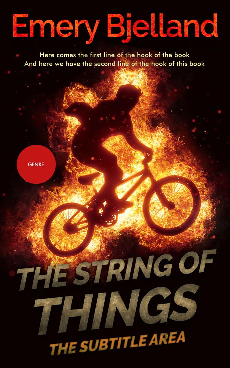 2D view of Premade Teen & Young Adult Book Cover - Coffee Bean