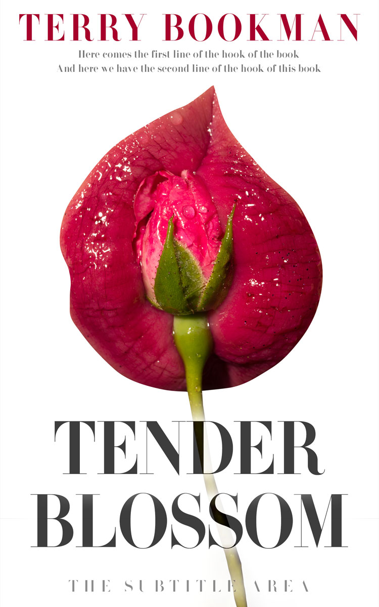 2D view of Premade Erotica Book Cover - Old Brick