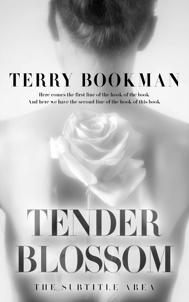 2D view of Alto #8287 - Premade Erotica Book Cover | BookCoverZone