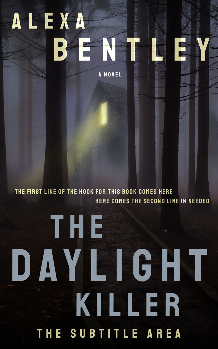 2D view of Thunder #8973 - Premade Mystery & Thriller & Suspense Book Cover