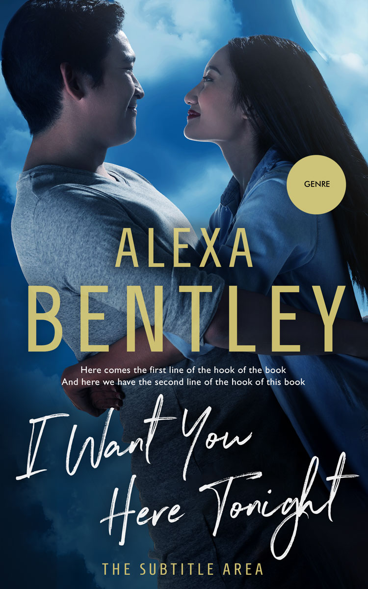 2D view of Premade Romance Book Cover - Big Stone