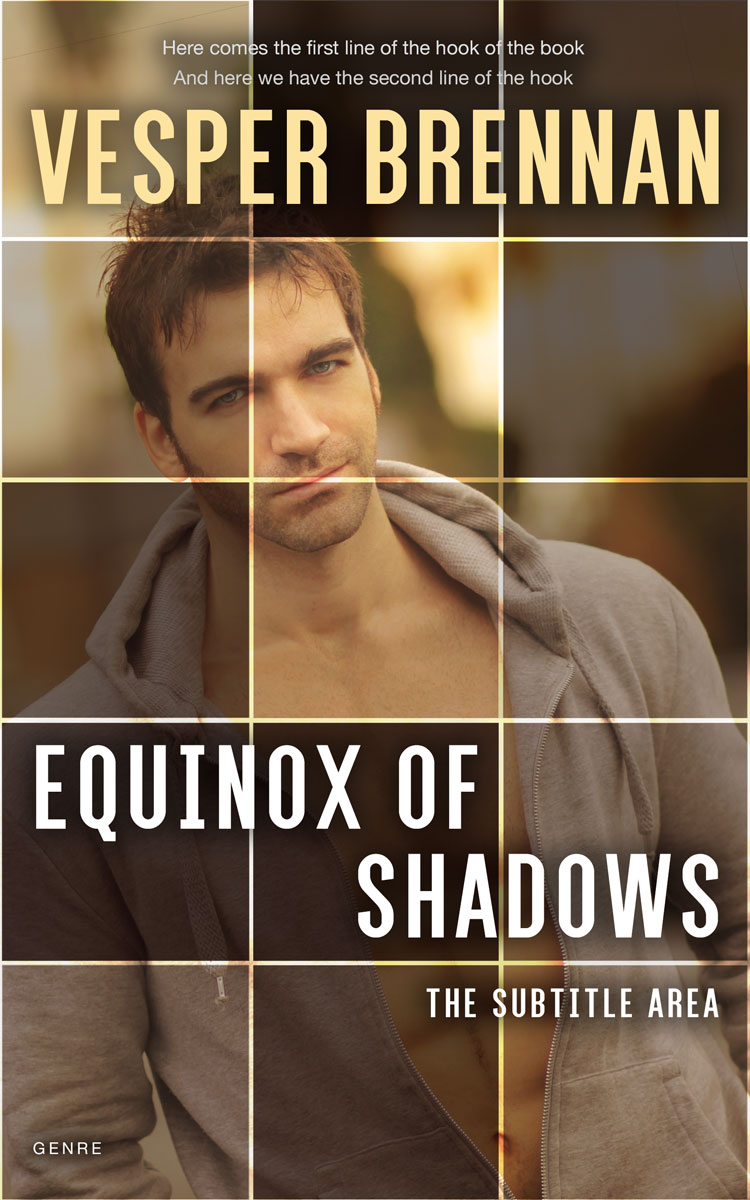 2D view of Judge Gray #9969 - Premade Erotica Book Cover