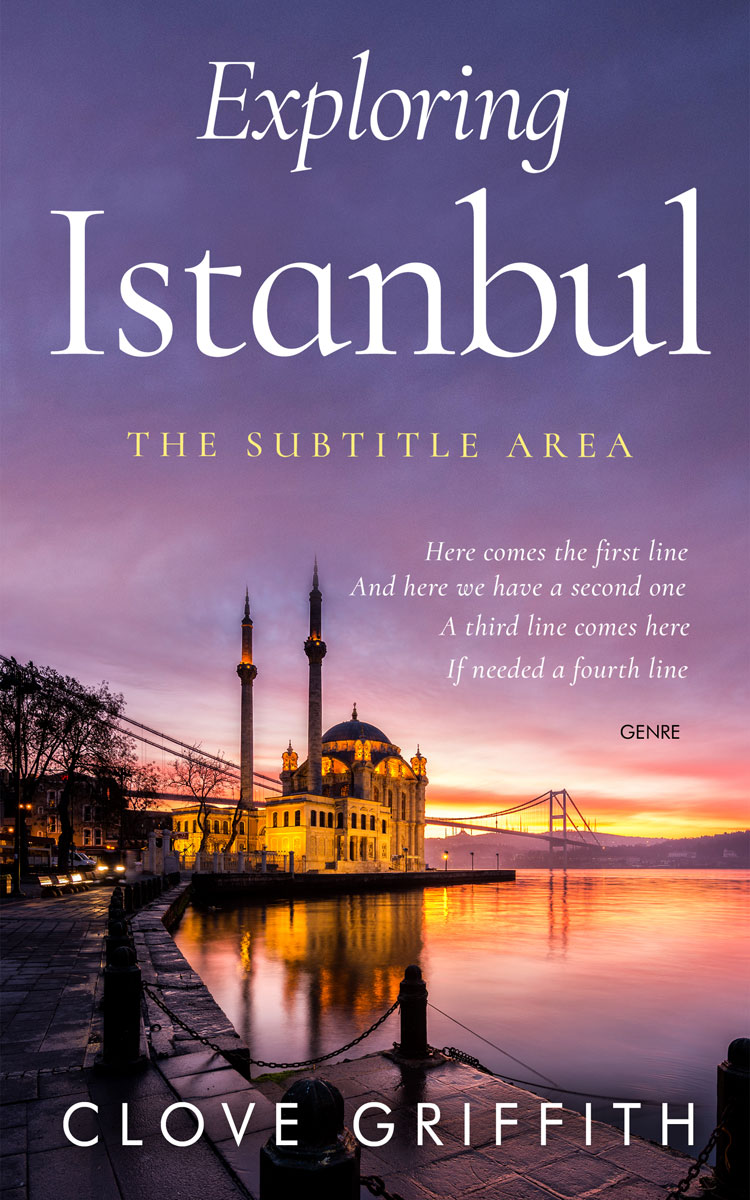 2D view of Rum #10314 - Premade Travel Book Cover