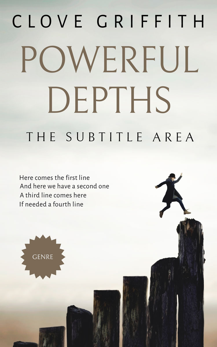 2D view of Premade Business Book Cover - Cararra