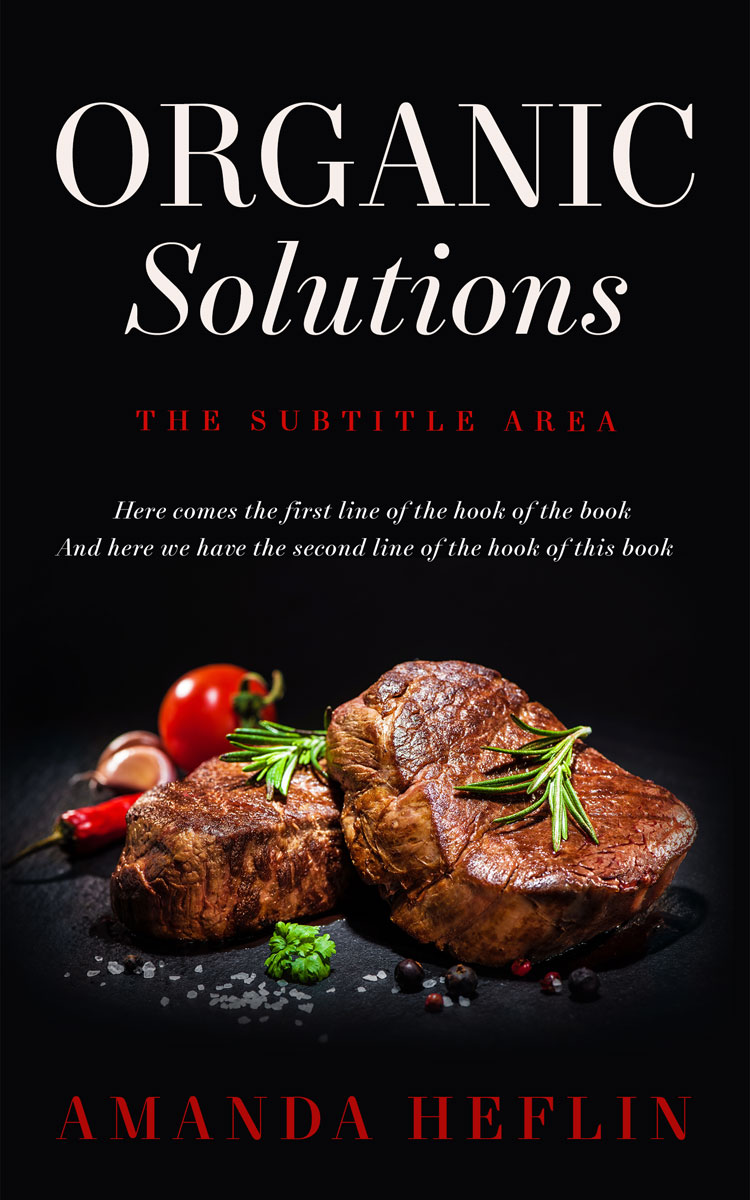 2D view of Cinder #10520 - Premade Cookbooks & Food & Wine Book Cover | BookCoverZone