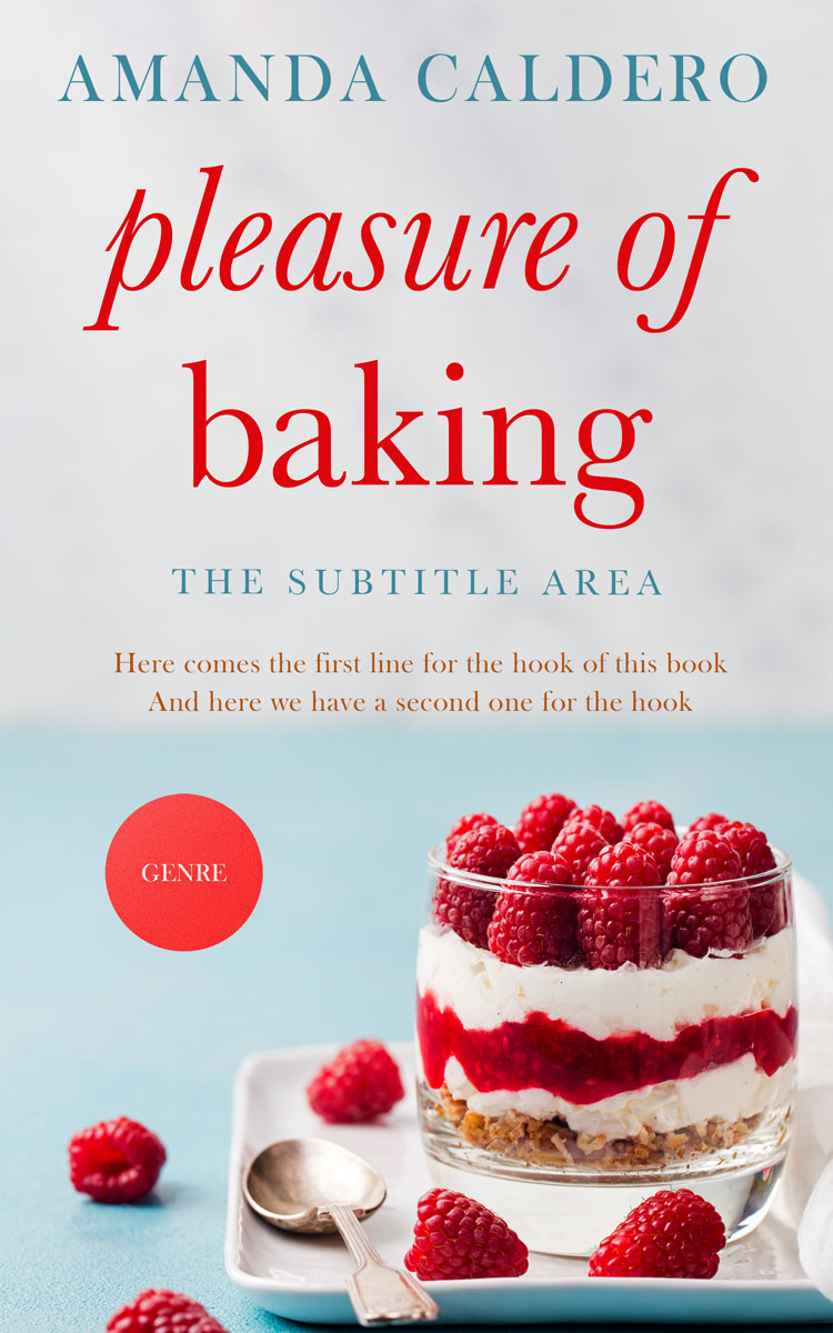 2D view of Iron #10570 - Premade Travel Book Cover