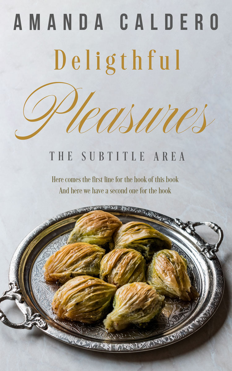 2D view of Iron #10587 - Premade Travel Book Cover