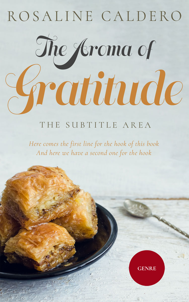 2D view of Conch #10591 - Premade Travel Book Cover