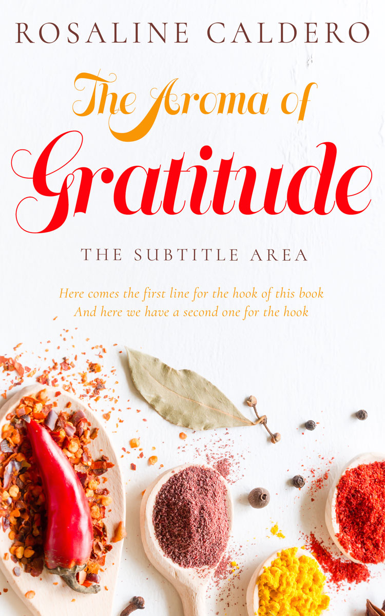 2D view of Thunderbird #10598 - Premade Travel Book Cover