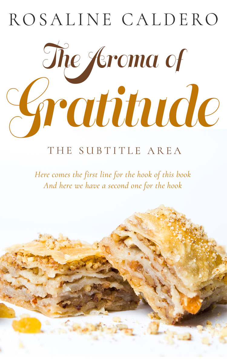 2D view of Merino #10599 - Premade Travel Book Cover