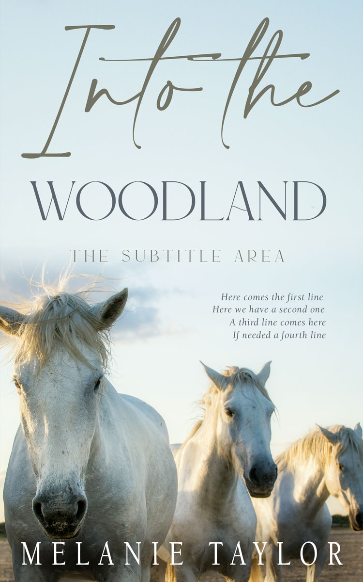 2D view of Geyser #10965 - Premade Travel Book Cover