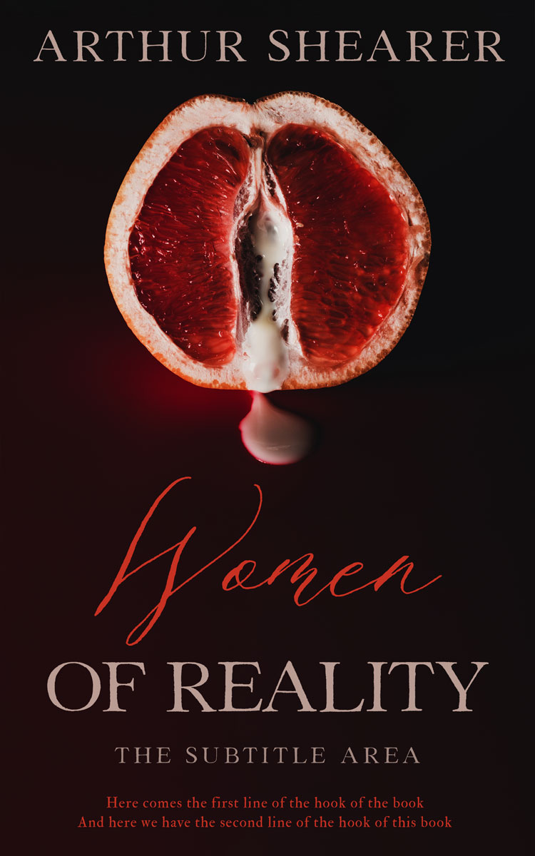 2D view of Premade Erotica Book Cover - Night Rider