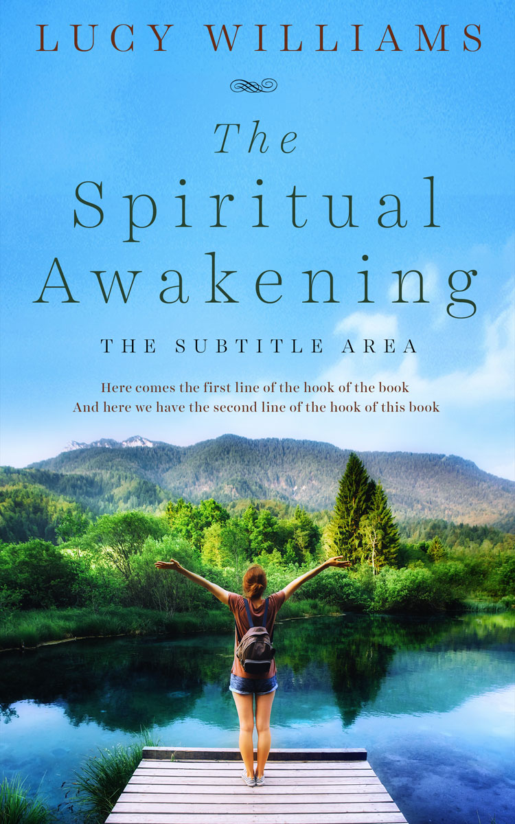 2D view of Seagull #11111 - Premade Health & Mind & Body Book Cover