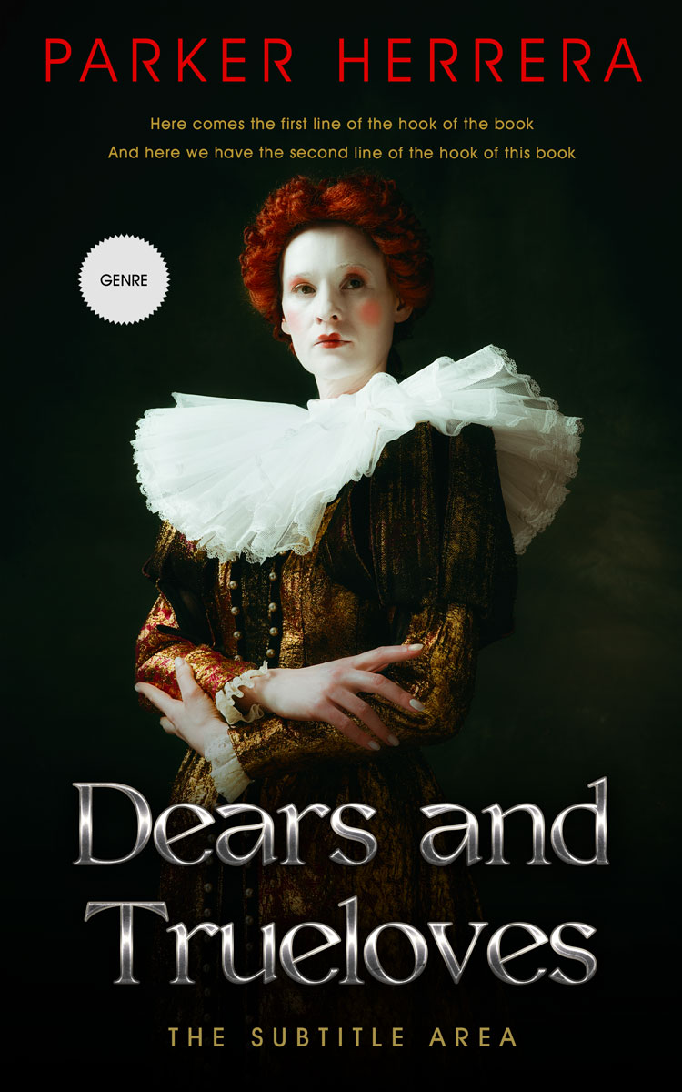 2D view of Bison Hide #11793 - Premade Historical Book Cover