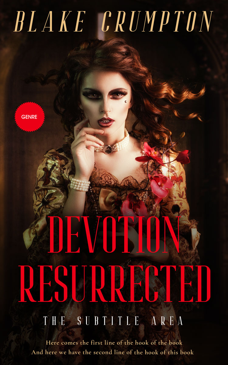 2D view of Roman #11813 - Premade Historical Book Cover