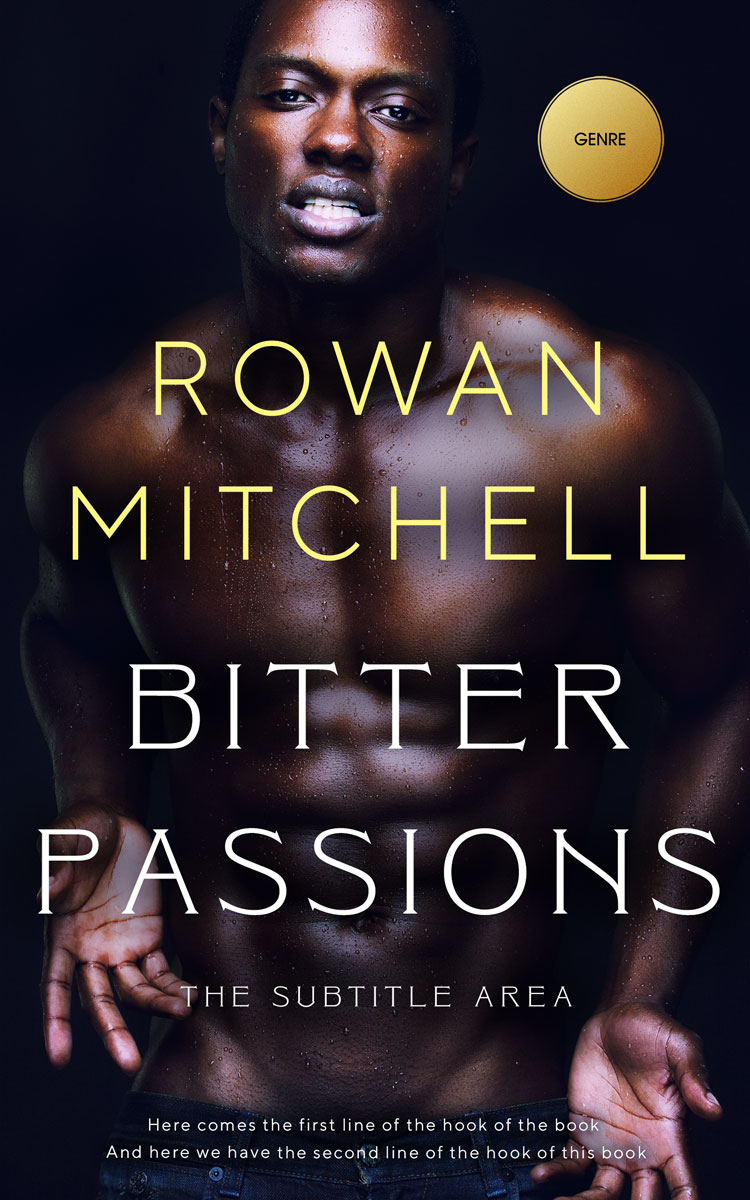 2D view of Bastille #11943 - Premade Erotica Book Cover