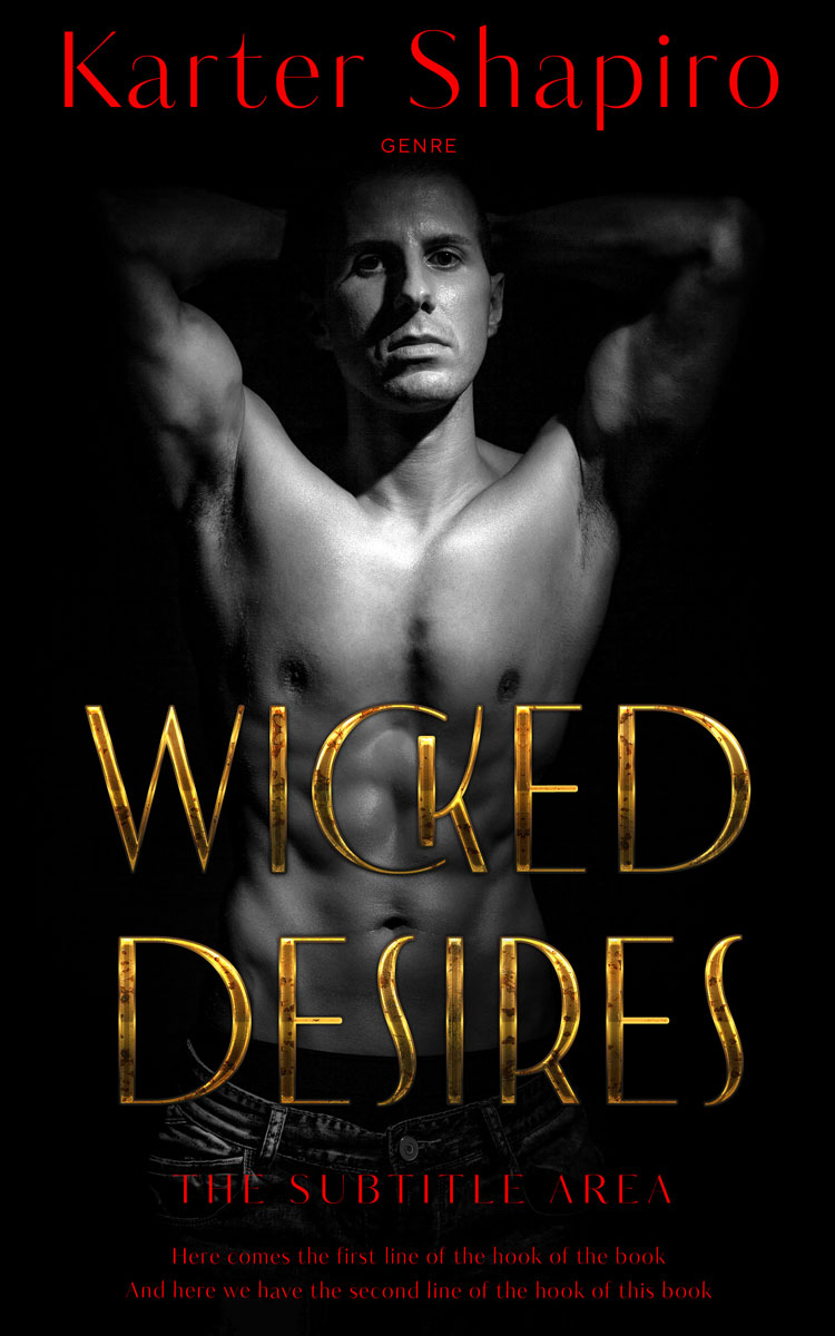 2D view of Cod Gray #11974 - Premade Erotica Book Cover