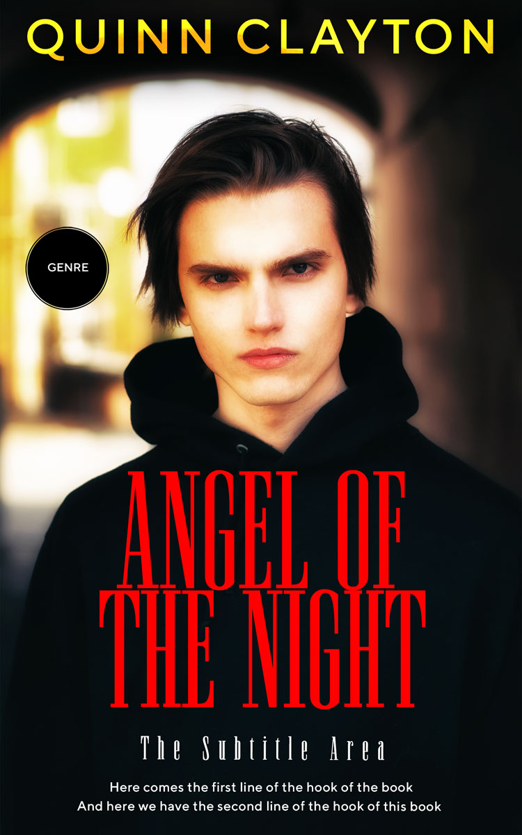 2D view of Premade Teen & Young Adult Book Cover - Woodsmoke