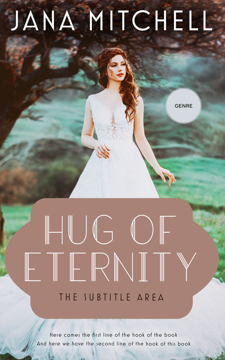 2D view of Stonewall #12170 - Premade Romance Book Cover