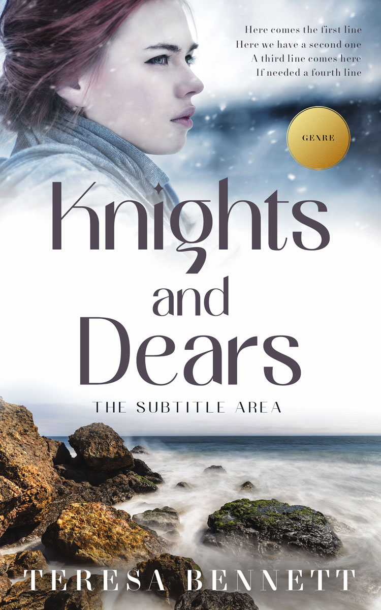 2D view of Silver Sand #12816 - Premade Romance Book Cover