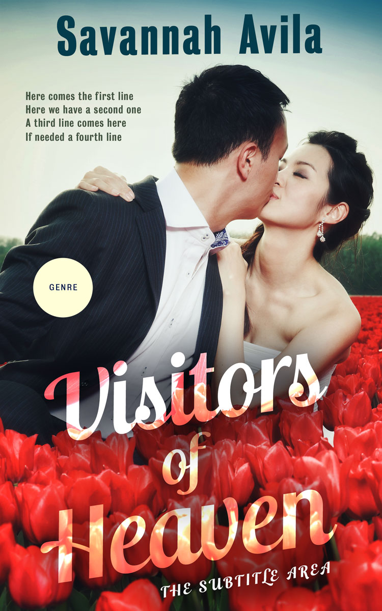 2D view of Swirl #13030 - Premade Romance Book Cover