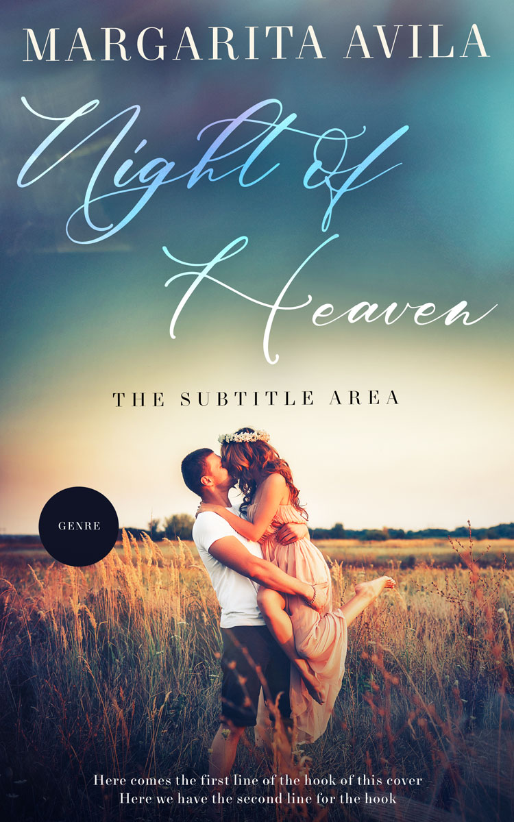 2D view of Shuttle Gray #13034 - Premade Romance Book Cover