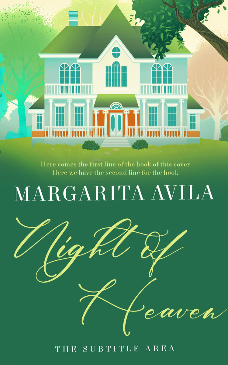 2D view of Amazon #13043 - Premade Literary Fiction Book Cover