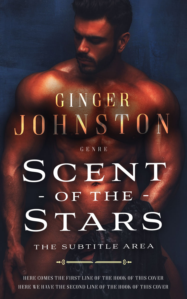 2D view of Baltic Sea #13065 - Premade Erotica Book Cover