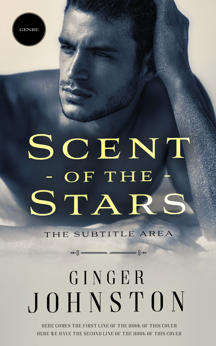 2D view of Foggy Gray #13072 - Premade Erotica Book Cover