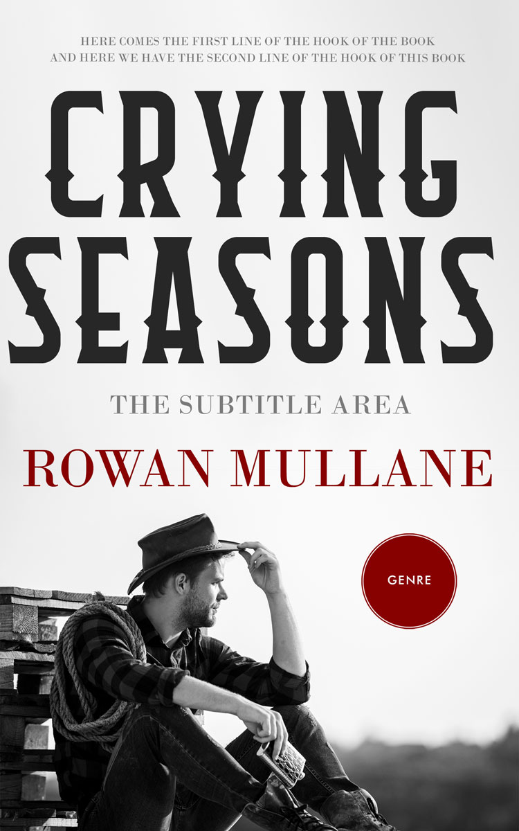 2D view of Gallery #13282 - Premade Romance Book Cover